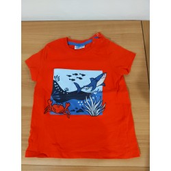Tauró i Cranc roja (talla...